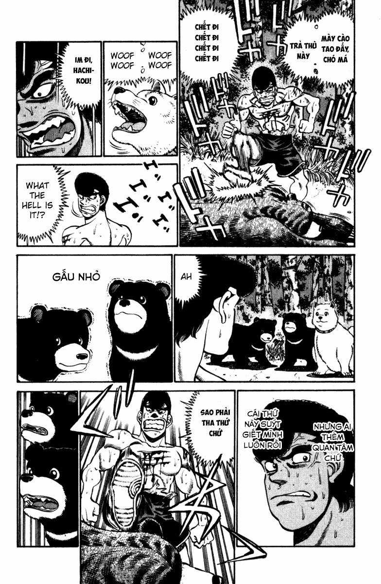 Hajime No Ippo Chapter 230 trang 15