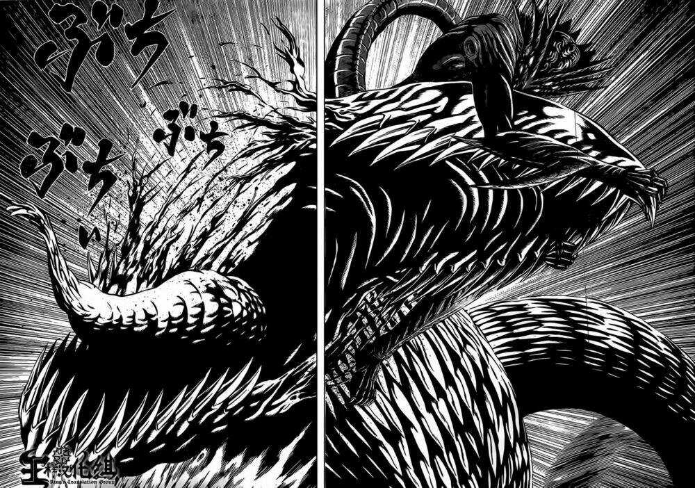 Hakaijuu Chapter 47 trang 12