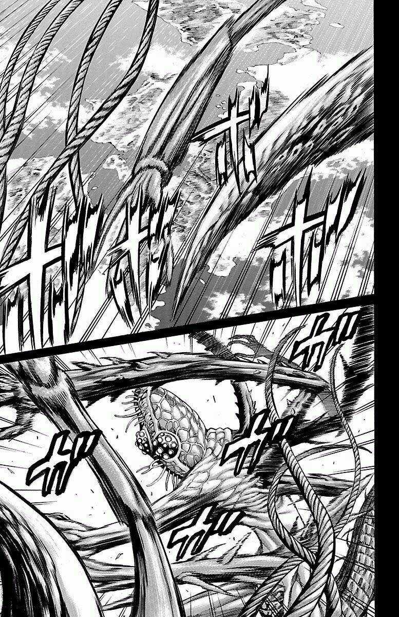 Hakaijuu Chapter 73 trang 17