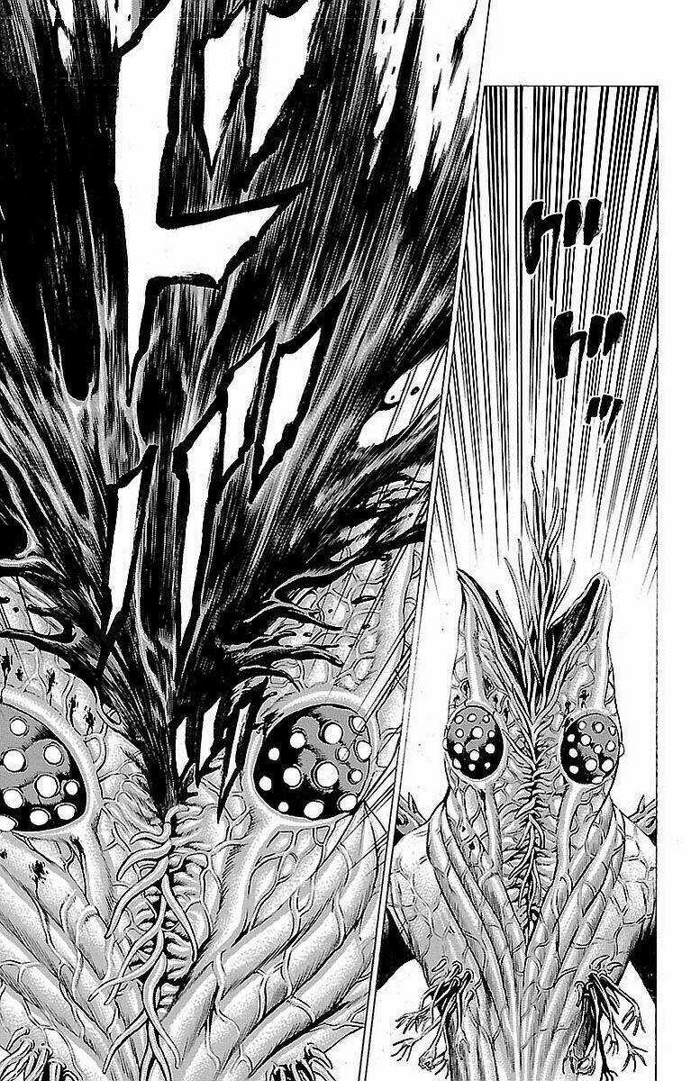 Hakaijuu Chapter 80 trang 13