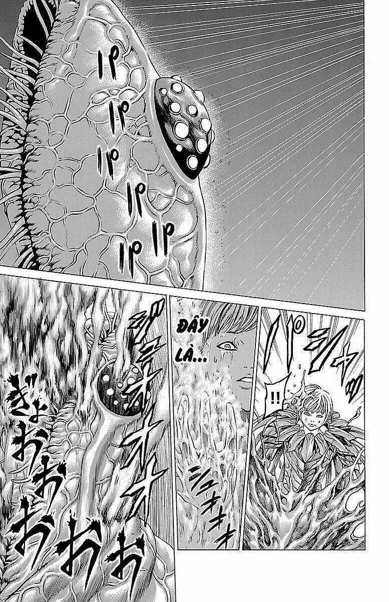 Hakaijuu Chapter 80 trang 19