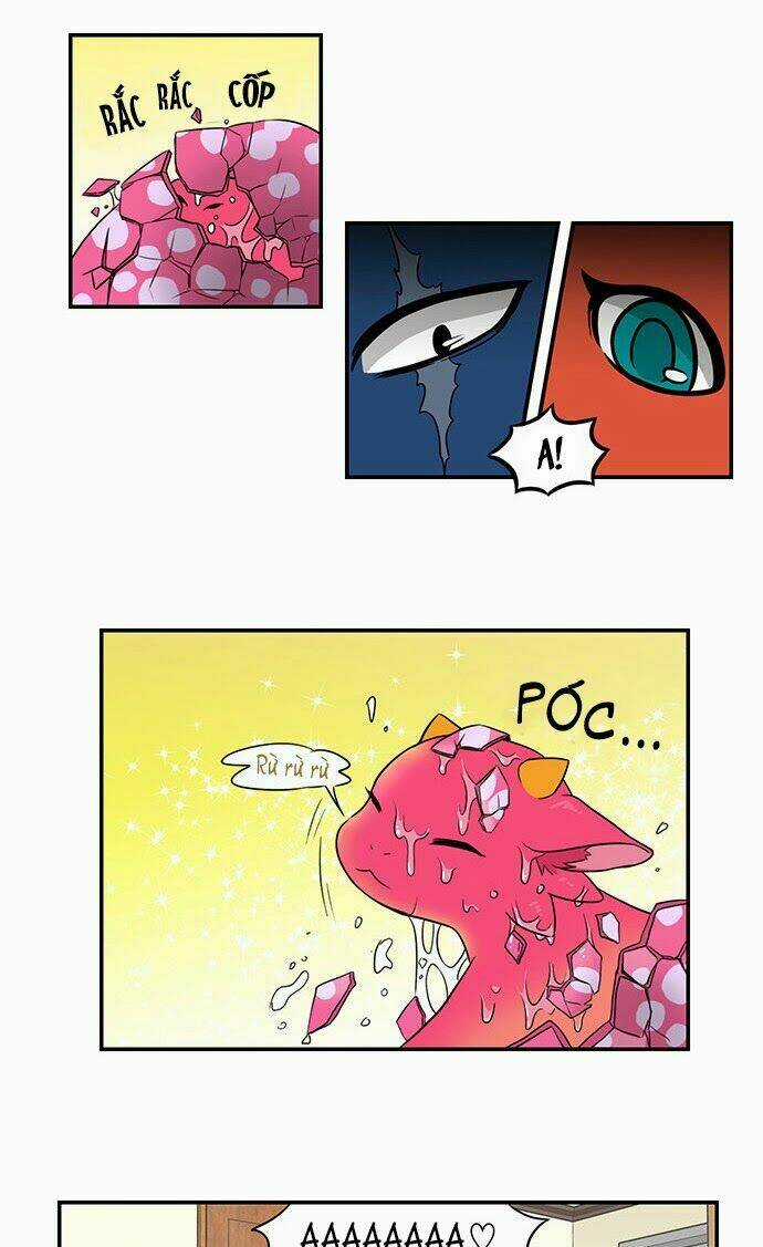 Hắn Ta Là Rồng Chapter 40 trang 20