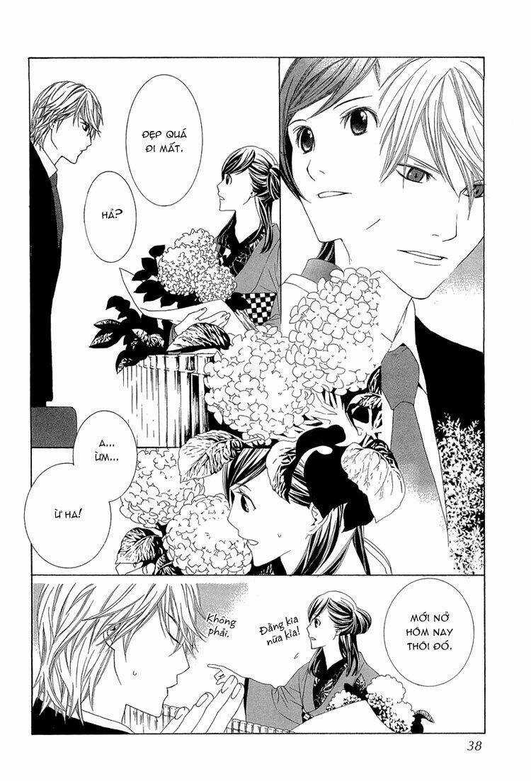 Hanamai Koeda De Aimashou Chapter 1 trang 32