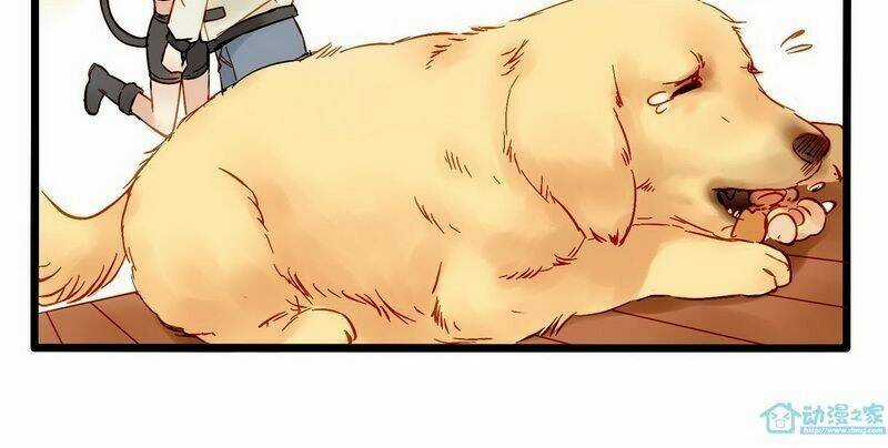 Hằng Mộng Nam Thần Chapter 2 trang 27