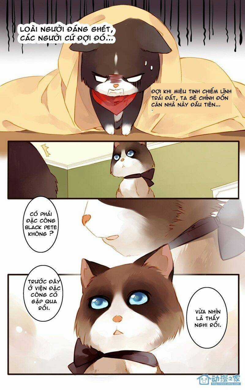 Hằng Mộng Nam Thần Chapter 22 trang 10