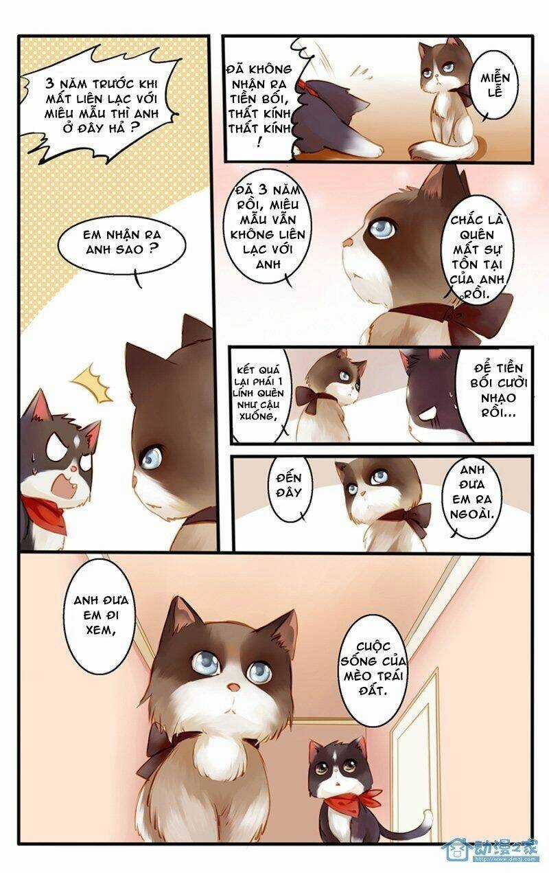 Hằng Mộng Nam Thần Chapter 22 trang 12