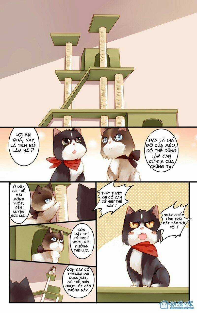 Hằng Mộng Nam Thần Chapter 22 trang 13