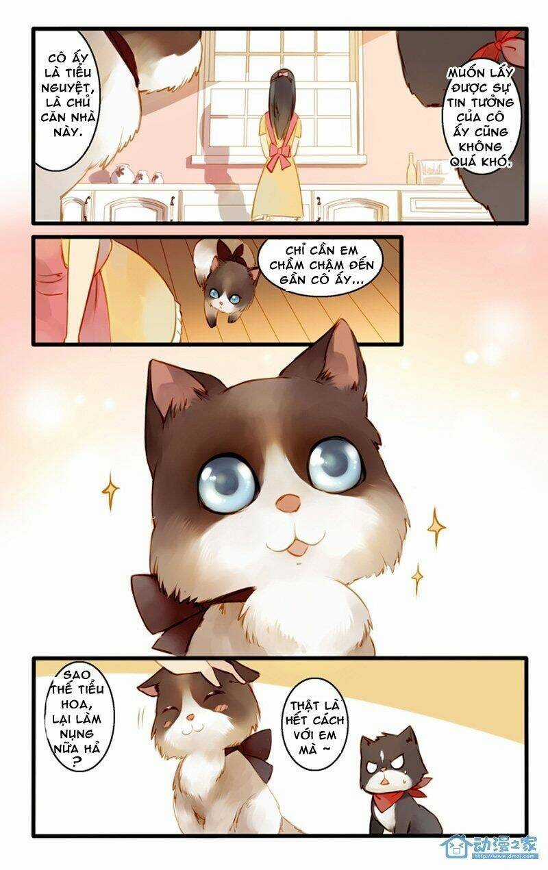 Hằng Mộng Nam Thần Chapter 22 trang 14