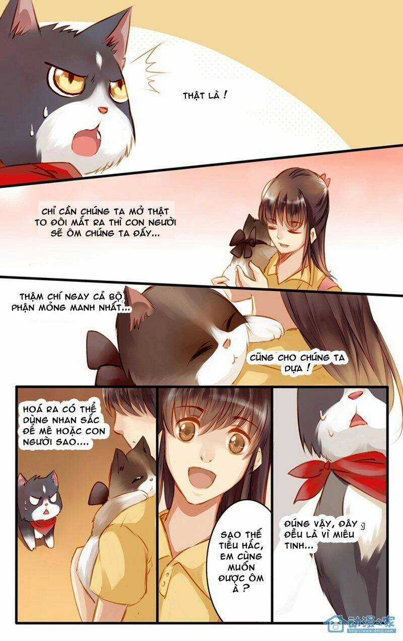 Hằng Mộng Nam Thần Chapter 22 trang 15