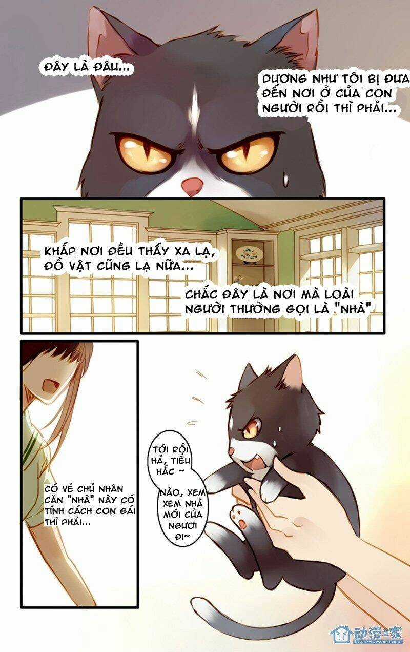 Hằng Mộng Nam Thần Chapter 22 trang 2