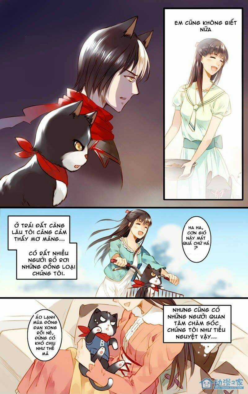 Hằng Mộng Nam Thần Chapter 22 trang 21