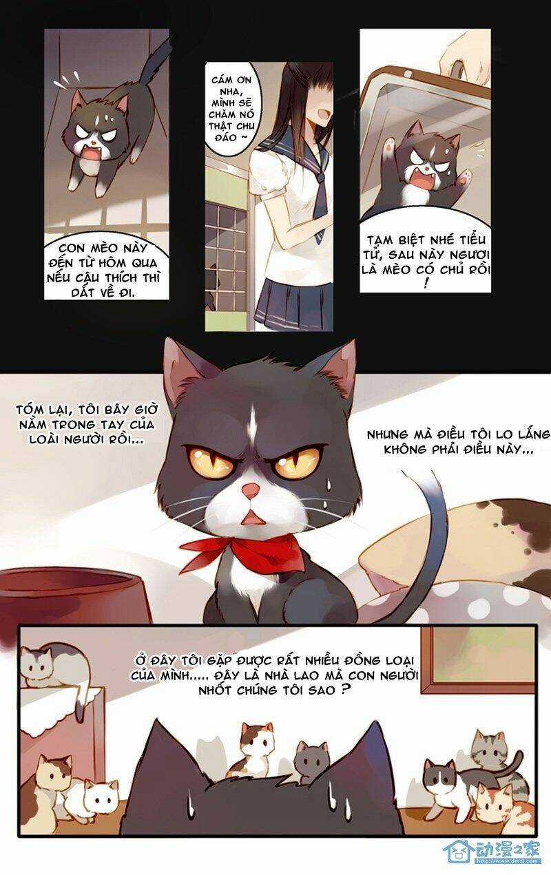 Hằng Mộng Nam Thần Chapter 22 trang 5