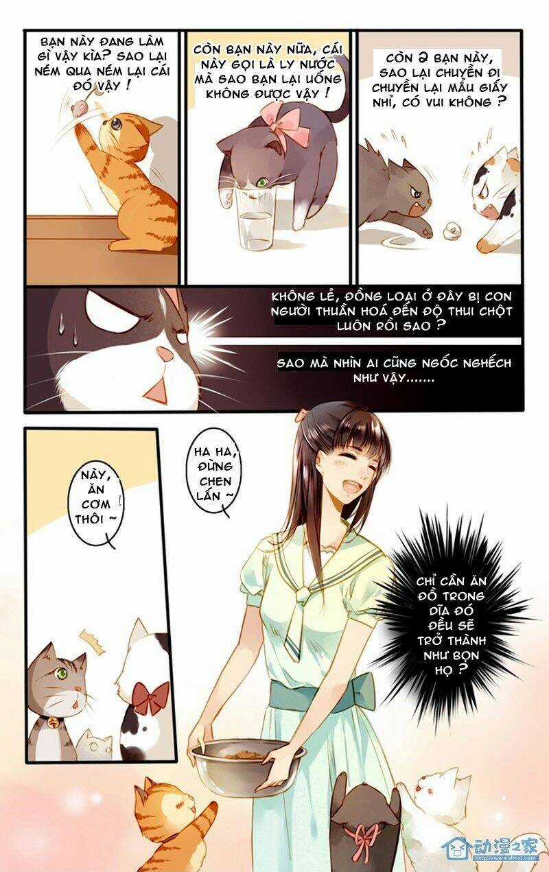 Hằng Mộng Nam Thần Chapter 22 trang 6