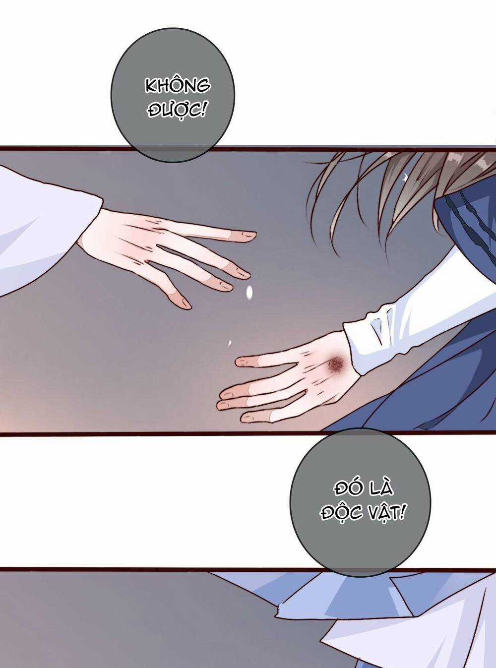 Hạnh Lâm Phương Hoa Chapter 76 trang 42