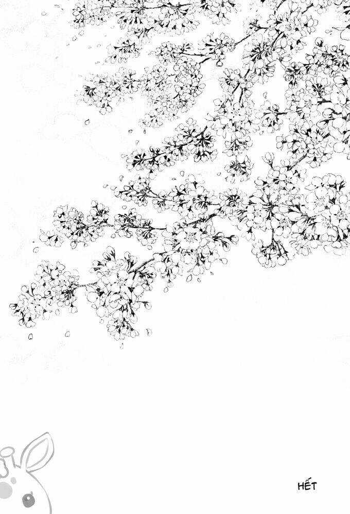 Hạnh Phúc Và Ước Muốn Của Cậu Là…? Chapter 2 trang 29