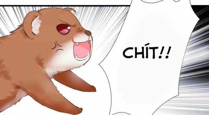 Hành Trình Sủng Đế Cơ Chapter 1 trang 34