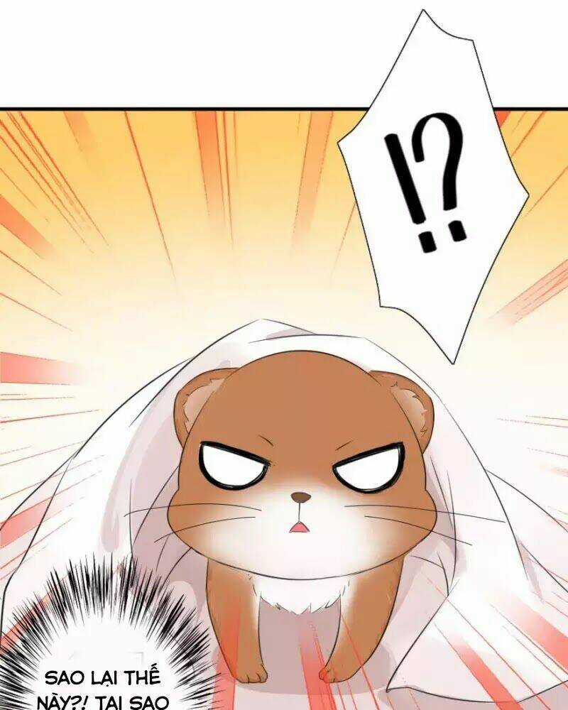 Hành Trình Sủng Đế Cơ Chapter 2 trang 12