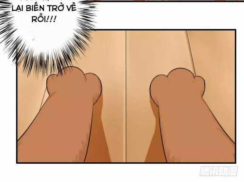 Hành Trình Sủng Đế Cơ Chapter 2 trang 13