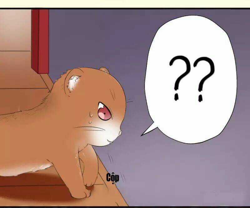 Hành Trình Sủng Đế Cơ Chapter 2 trang 14