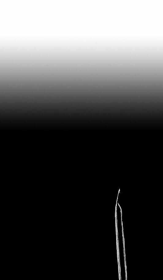 Hành Trình Thoát Khỏi Địa Ngục Chapter 35 trang 19