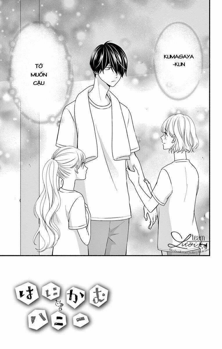 Hanikamu Honey Chapter 17 trang 4