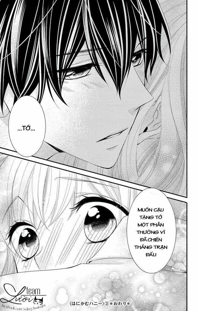Hanikamu Honey Chapter 18 trang 31