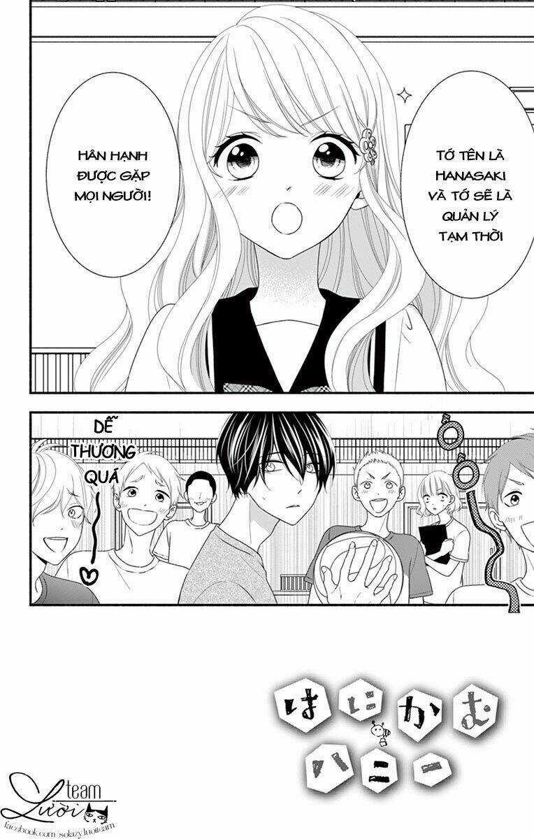 Hanikamu Honey Chapter 18 trang 4