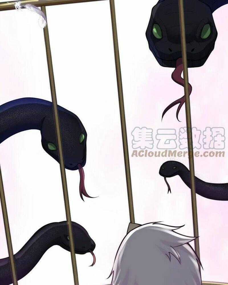 Hảo Đồ Nhi Hãy Tha Cho Vi Sư Chương 117 trang 1