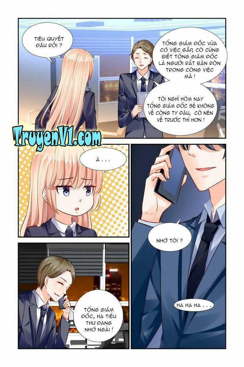 Hào Môn Đệ Nhất Thịnh Hôn Chapter 28 trang 5