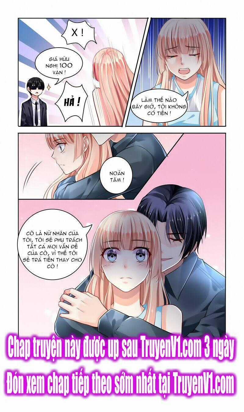 Hào Môn Đệ Nhất Thịnh Hôn Chapter 61 trang 7