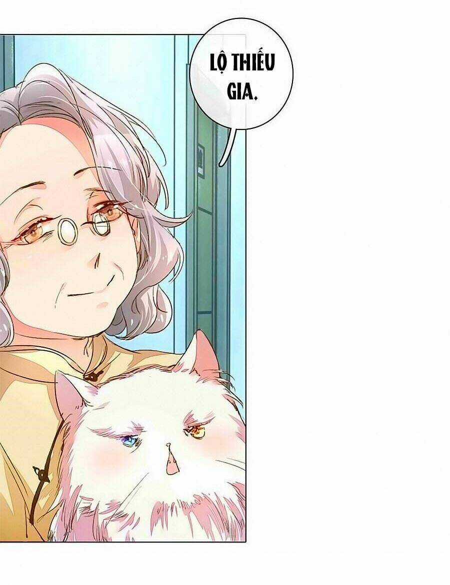 Hào Môn Tiểu Lãn Thê Chapter 77 trang 3