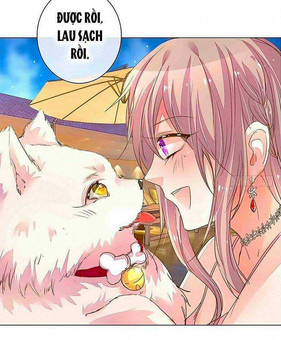 Hào Môn Tiểu Lãn Thê Chapter 97 trang 13