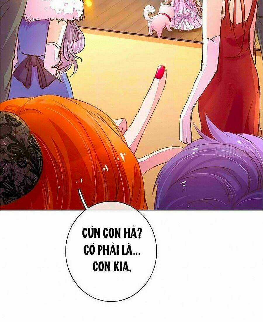 Hào Môn Tiểu Lãn Thê Chapter 97 trang 5