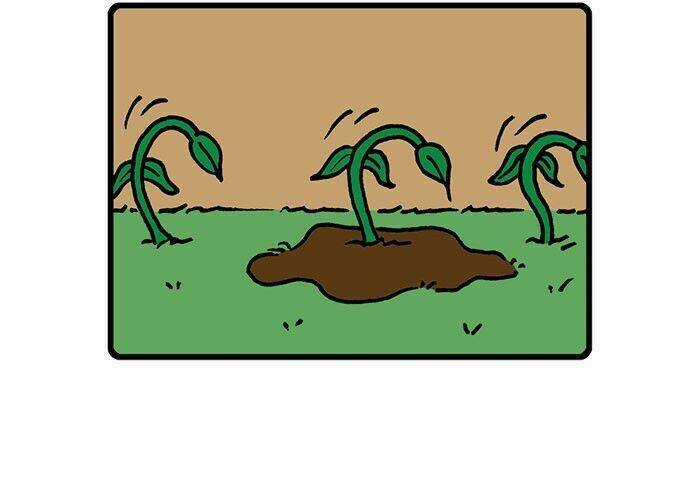 Hapi Buni Chapter 15 trang 3