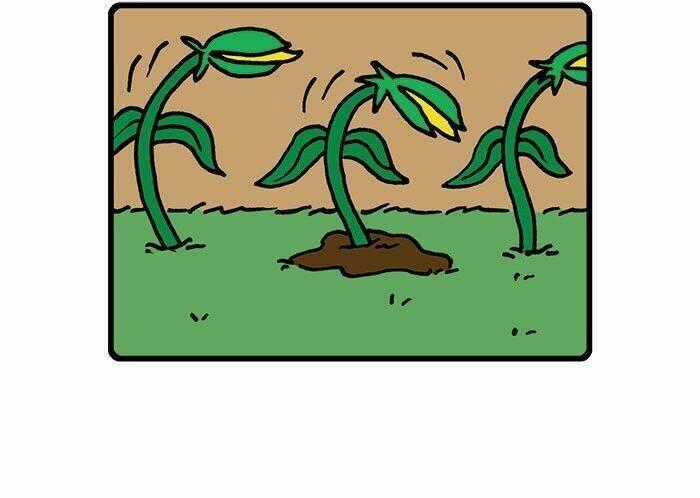 Hapi Buni Chapter 15 trang 4