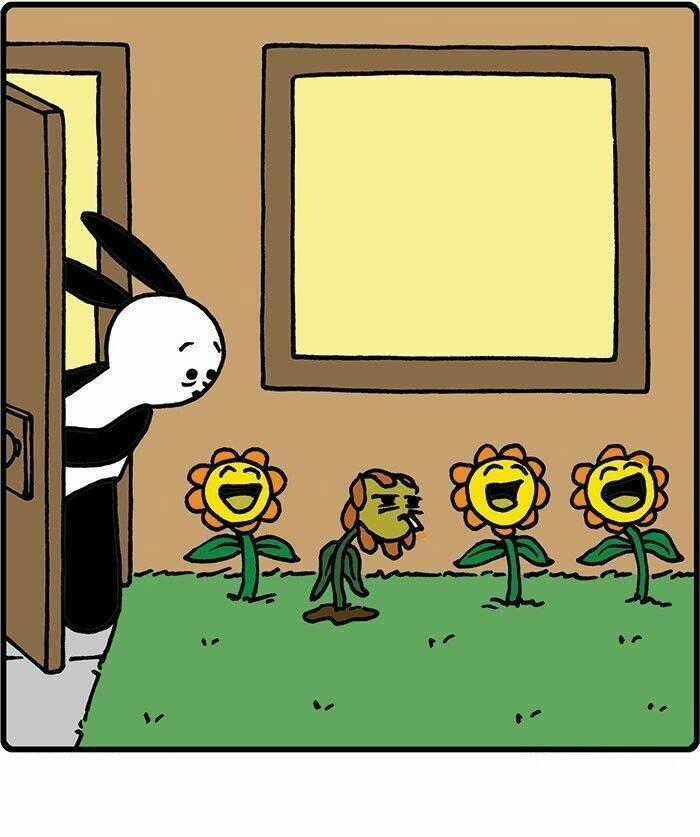 Hapi Buni Chapter 15 trang 5