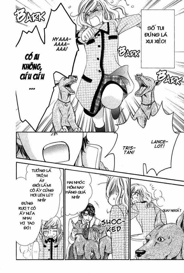 Hapi Mari Chapter 12 trang 2