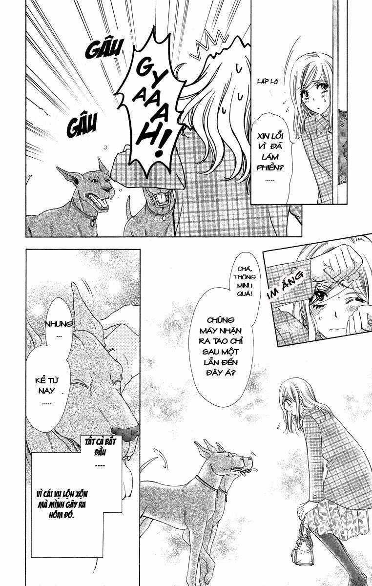 Hapi Mari Chapter 15 trang 2