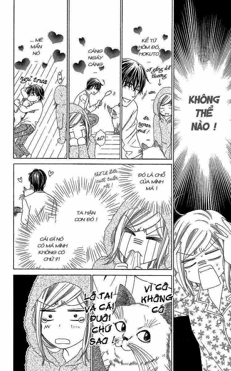 Hapi Mari Chapter 33 trang 4