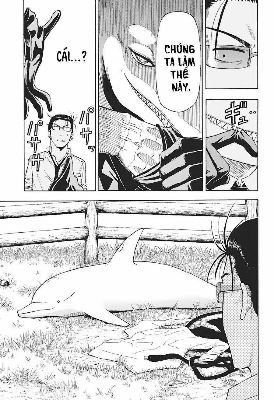 Hard-Boiled Cop And Dolphin Chapter 5 trang 7