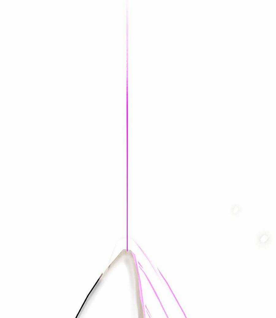 Hard Core Leveling Warrior Ss2 Chapter 129 trang 105