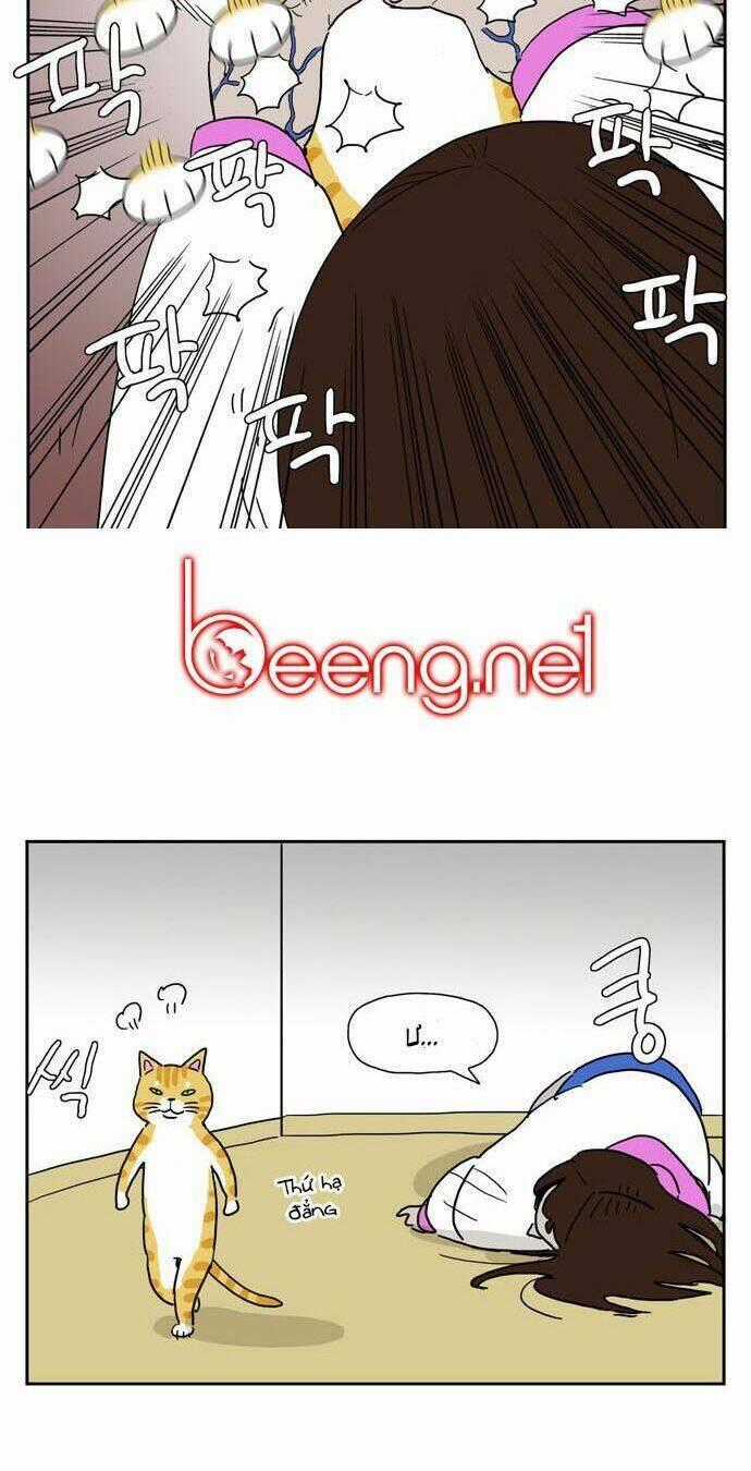 Hard Core Leveling Warrior Ss3 Chapter 177 trang 59