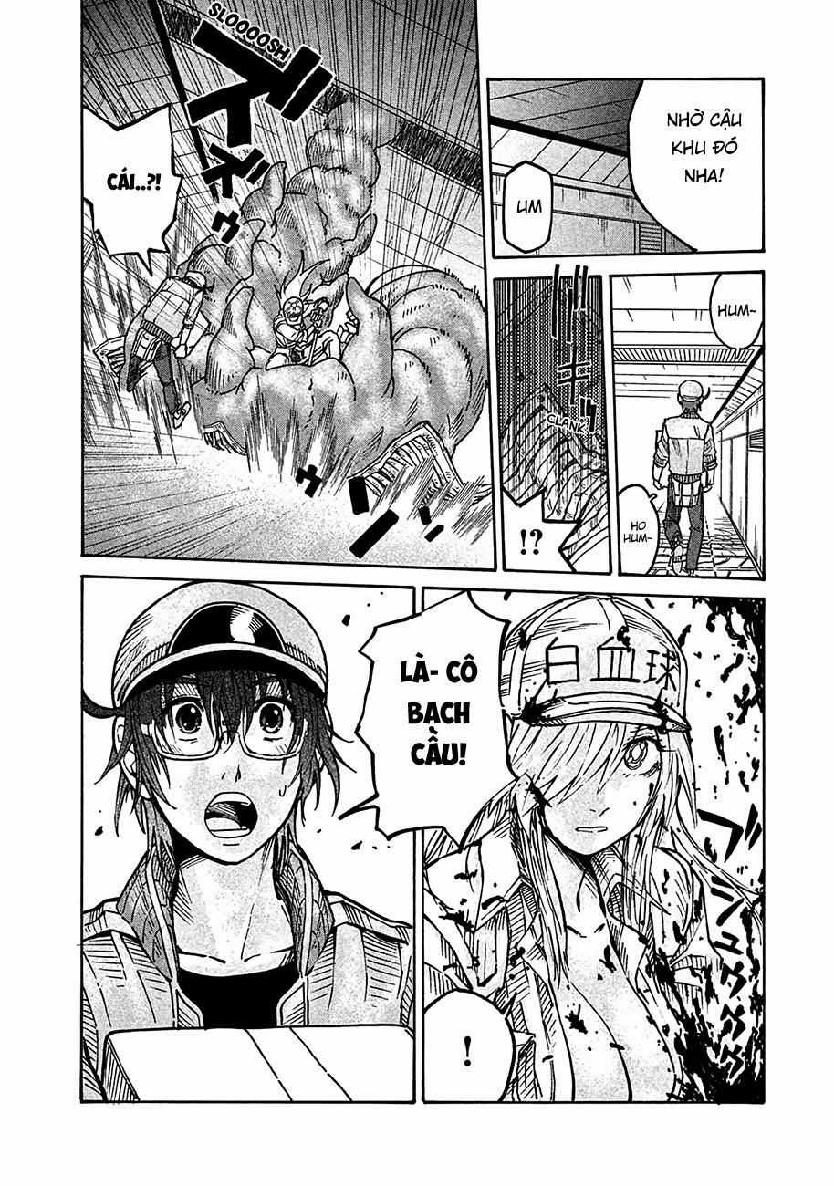 Hataraku Saibou Black Chapter 10 trang 32