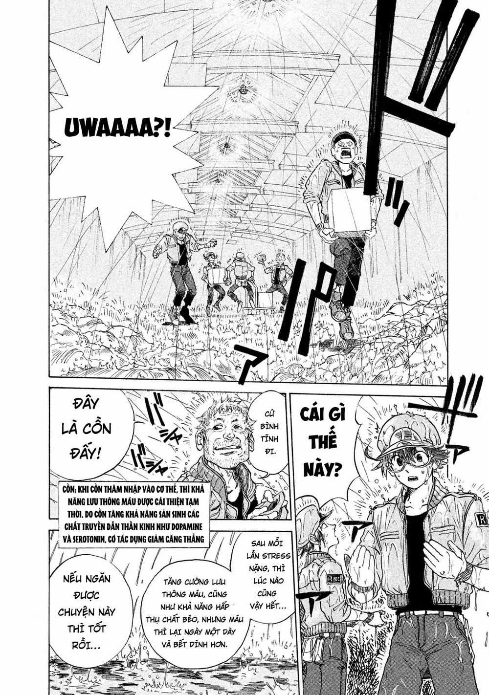 Hataraku Saibou Black Chapter 2 trang 3