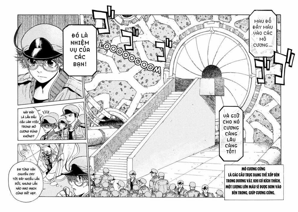 Hataraku Saibou Black Chapter 3 trang 3