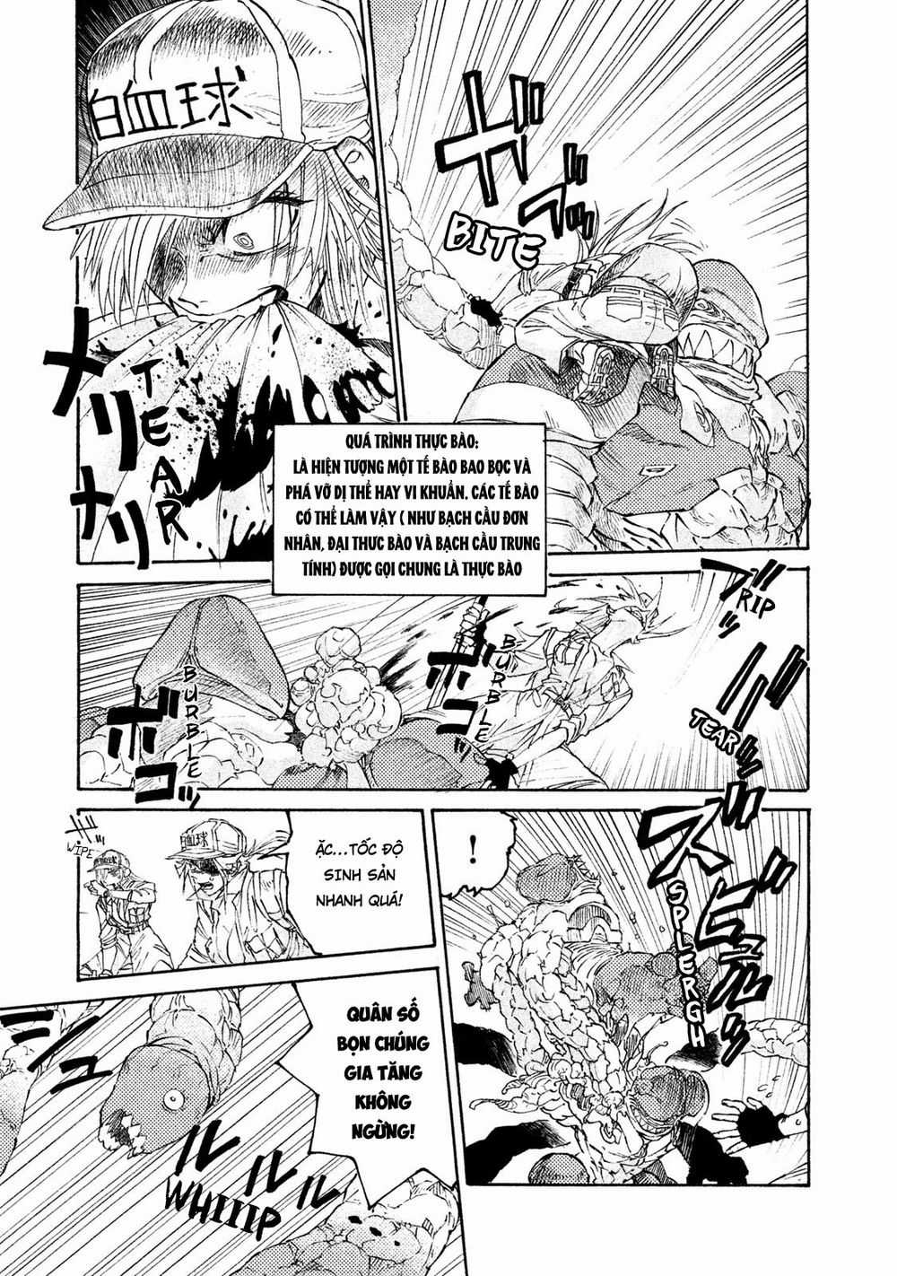 Hataraku Saibou Black Chapter 4 trang 14