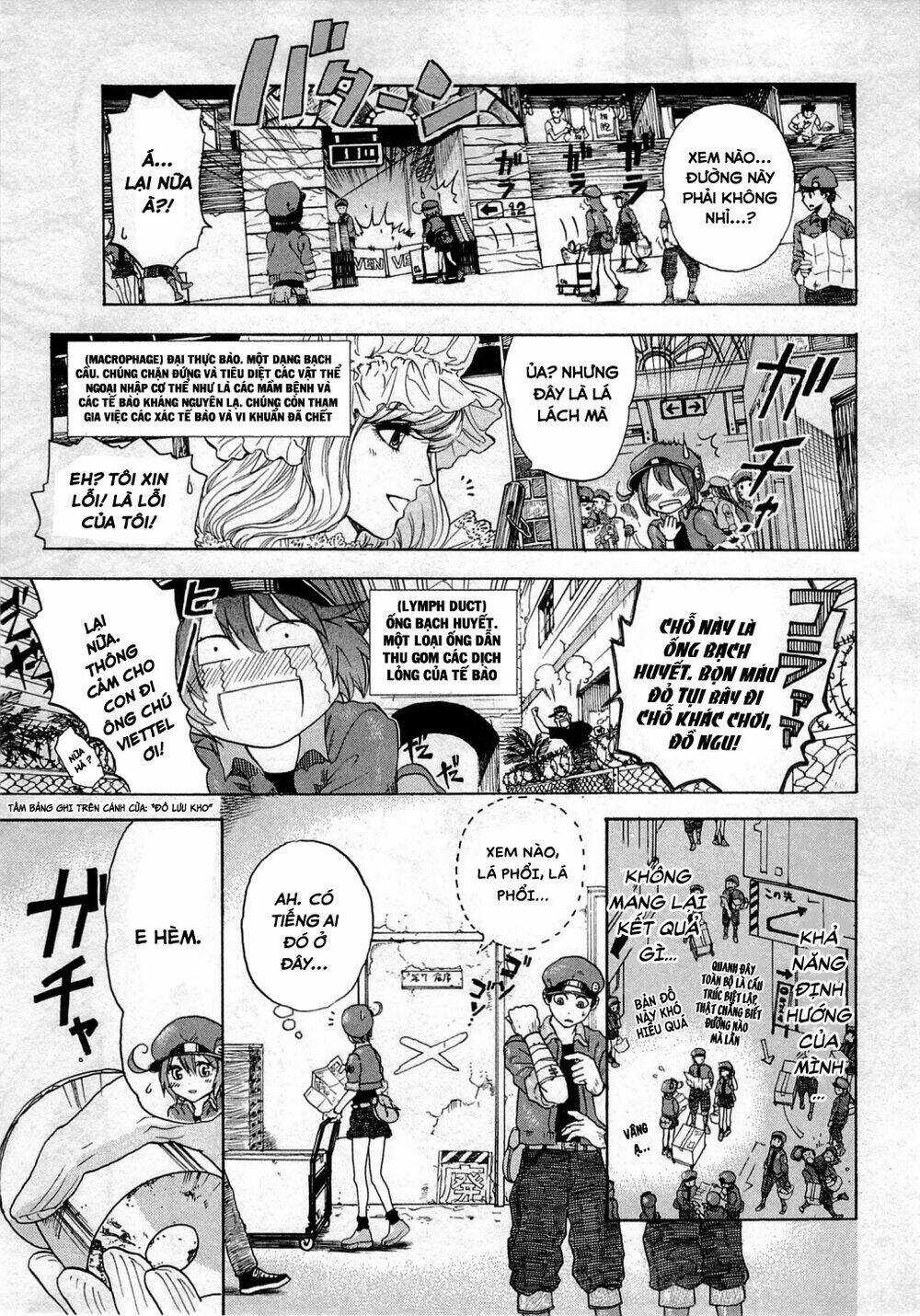 Hataraku Saibou! Chapter 1 trang 16