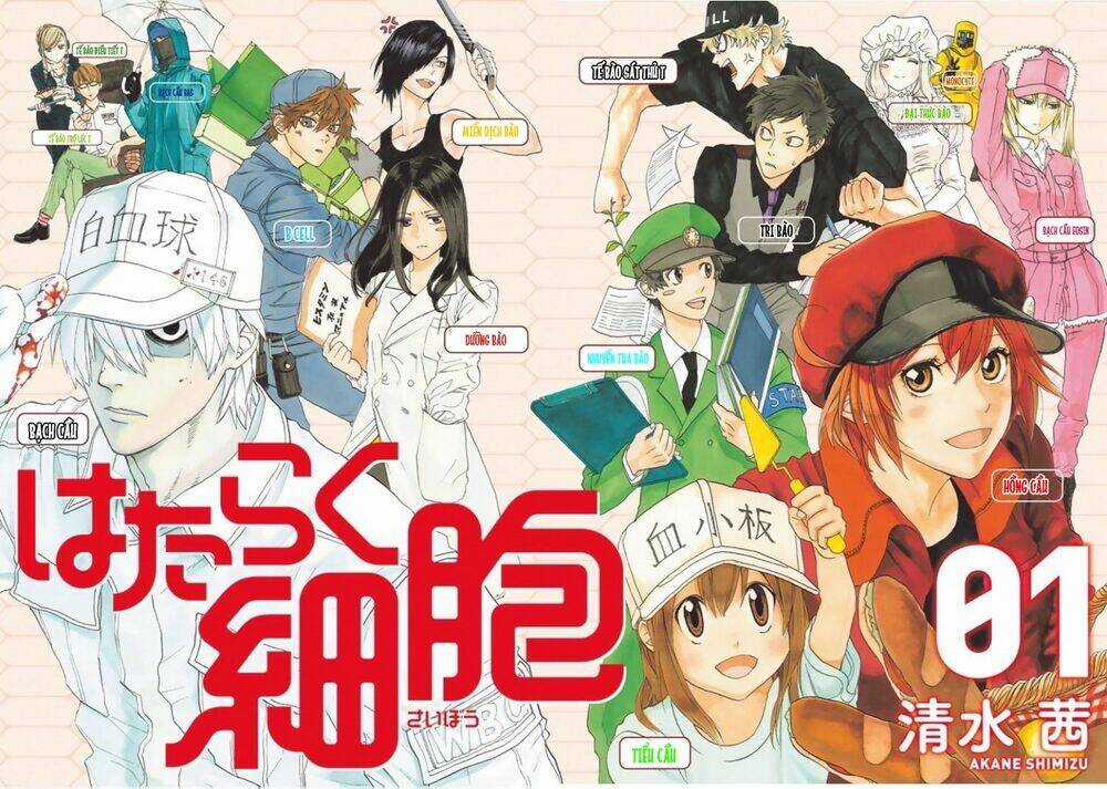Hataraku Saibou! Chapter 1 trang 3