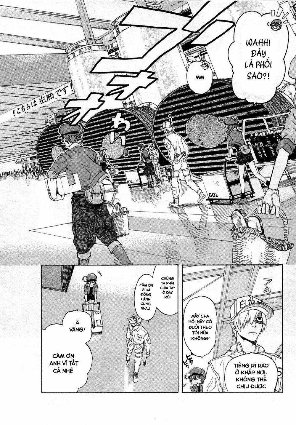 Hataraku Saibou! Chapter 1 trang 31