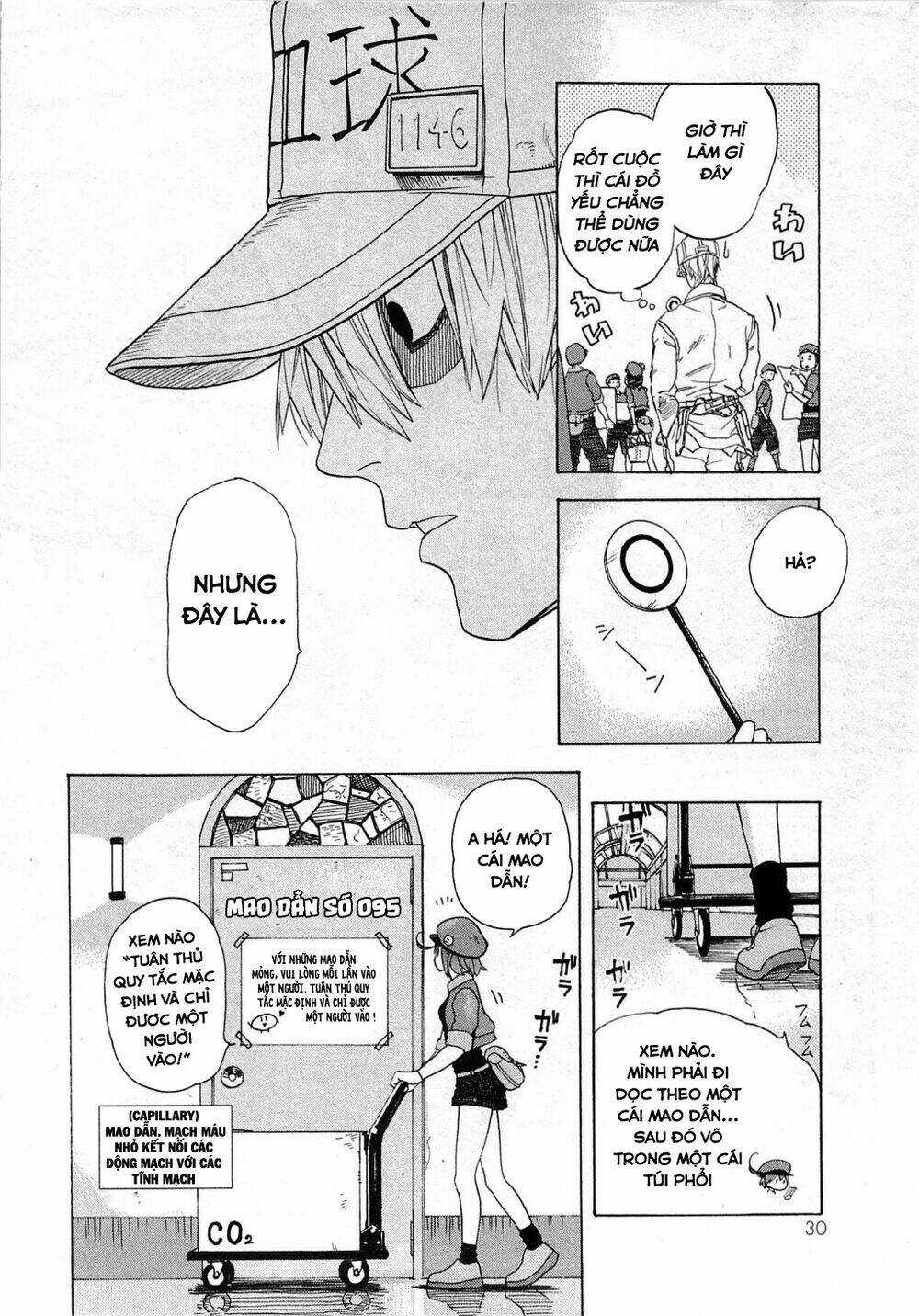 Hataraku Saibou! Chapter 1 trang 33